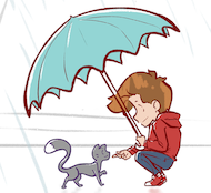 Rainy Days